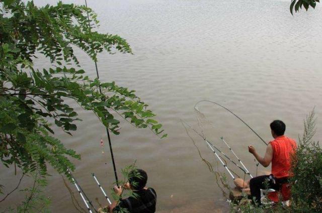 這才是猛拉鳊魚(yú)的正確方式，兩天不釣都難