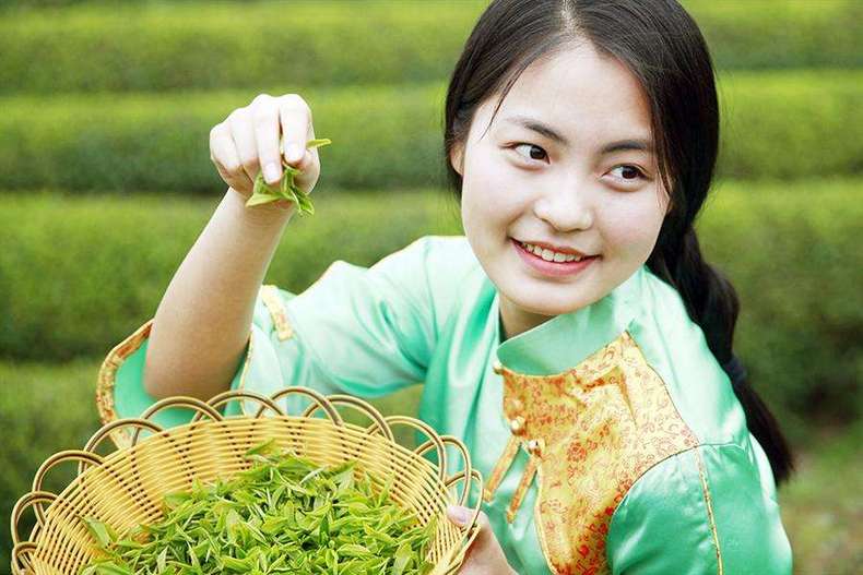 你買(mǎi)的綠茶不好喝？是因?yàn)楹鲆暳诉@些關(guān)鍵